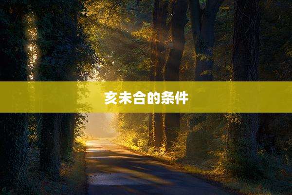 亥未合的条件