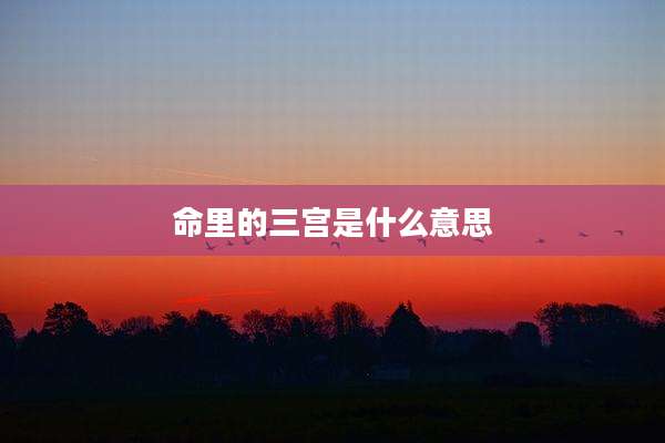 命里的三宫是什么意思
