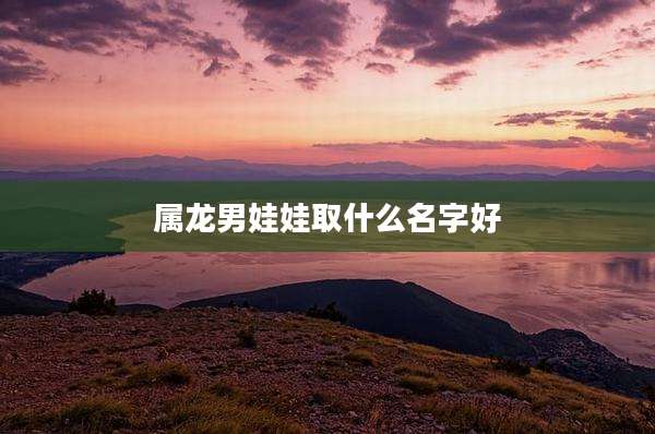 属龙男娃娃取什么名字好