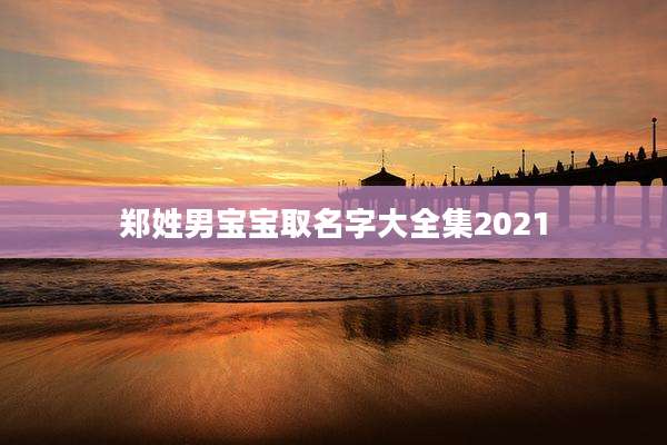 郑姓男宝宝取名字大全集2021