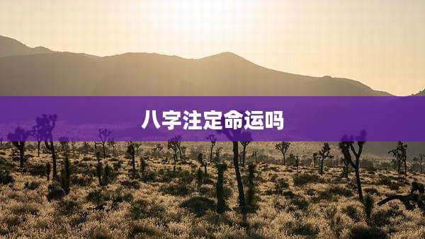 八字注定命运吗