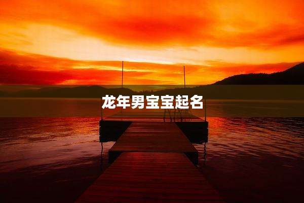 龙年男宝宝起名