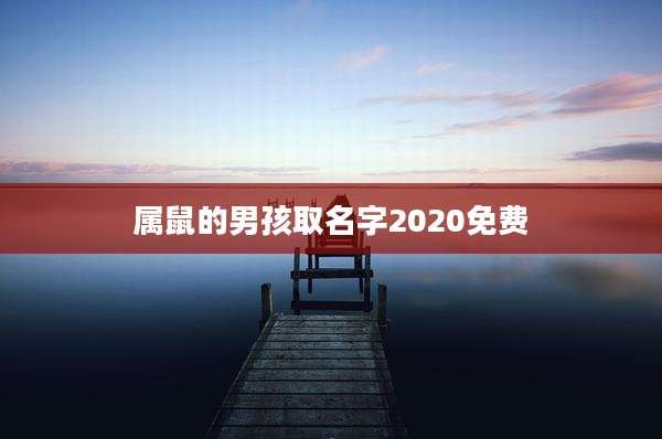 属鼠的男孩取名字2020免费