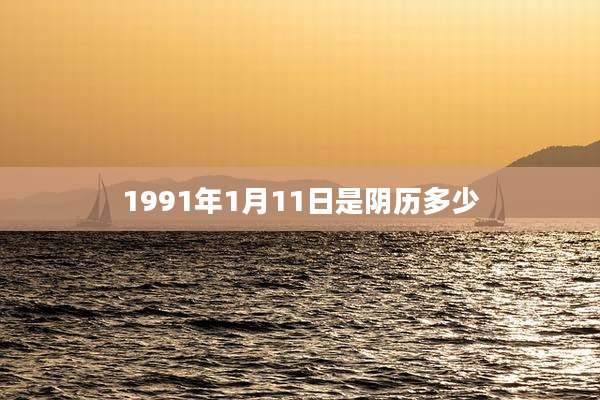 1991年1月11日是阴历多少