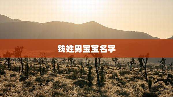 钱姓男宝宝名字