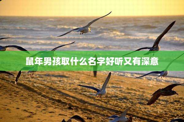 鼠年男孩取什么名字好听又有深意