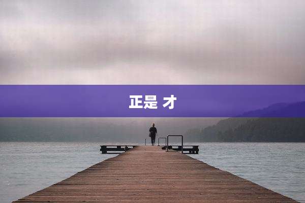 正是 才