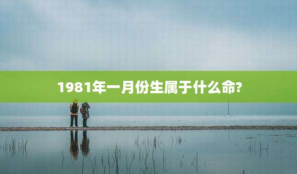 1981年一月份生属于什么命?