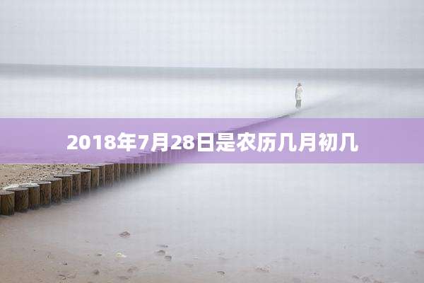 2018年7月28日是农历几月初几