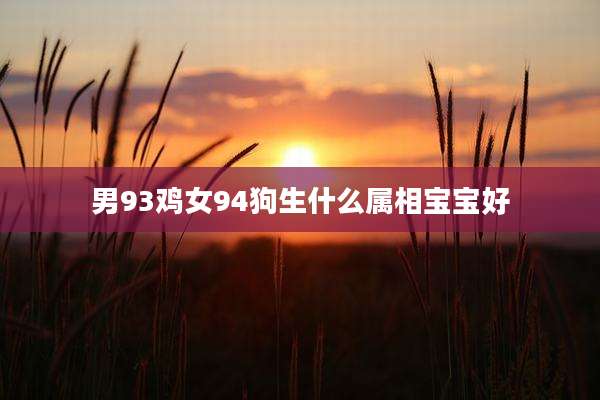 男93鸡女94狗生什么属相宝宝好