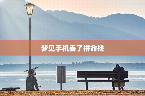梦见手机丢了拼命找