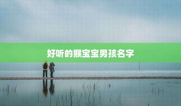 好听的猴宝宝男孩名字