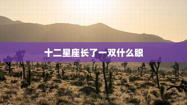 十二星座长了一双什么眼