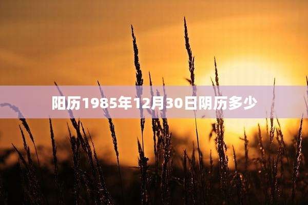 阳历1985年12月30日阴历多少