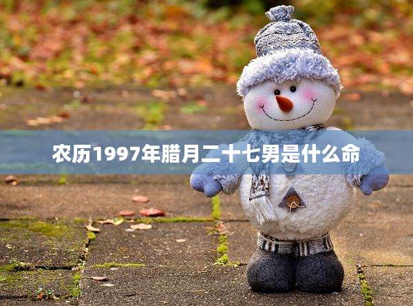 农历1997年腊月二十七男是什么命