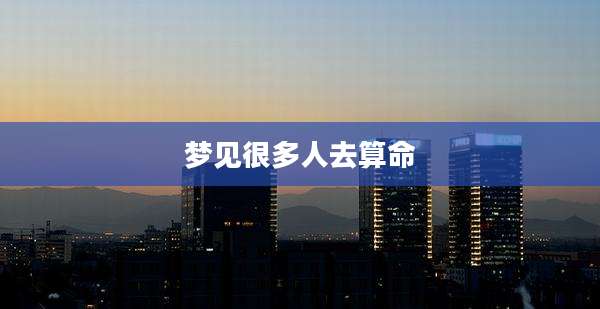 梦见很多人去算命