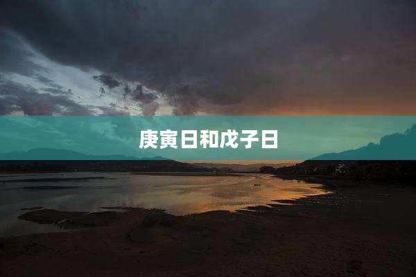 庚寅日和戊子日