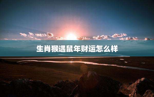 生肖猴遇鼠年财运怎么样