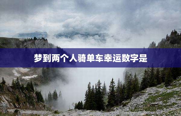 梦到两个人骑单车幸运数字是
