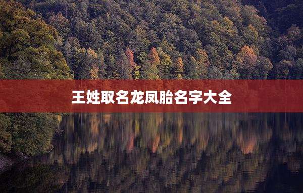 王姓取名龙凤胎名字大全