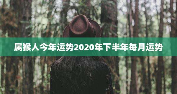 属猴人今年运势2020年下半年每月运势