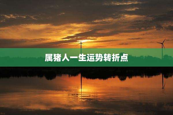 属猪人一生运势转折点