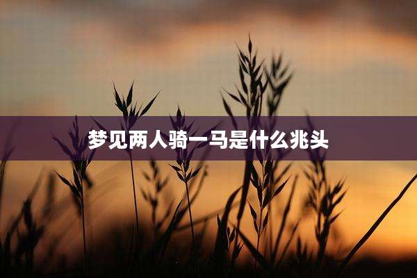 梦见两人骑一马是什么兆头