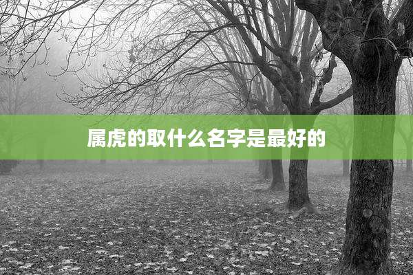 属虎的取什么名字是最好的