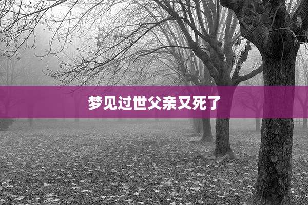 梦见过世父亲又死了
