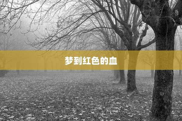 梦到红色的血