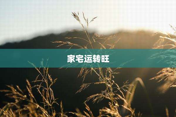 家宅运转旺