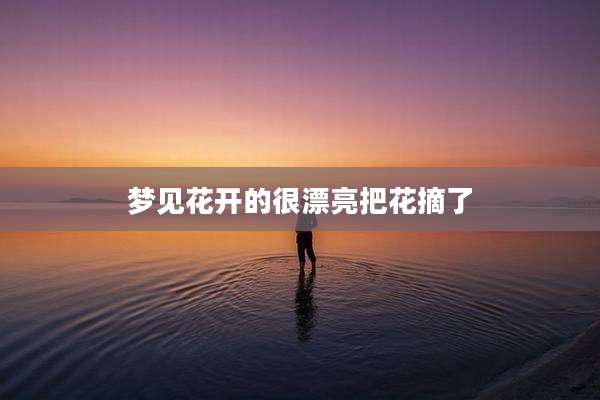 梦见花开的很漂亮把花摘了