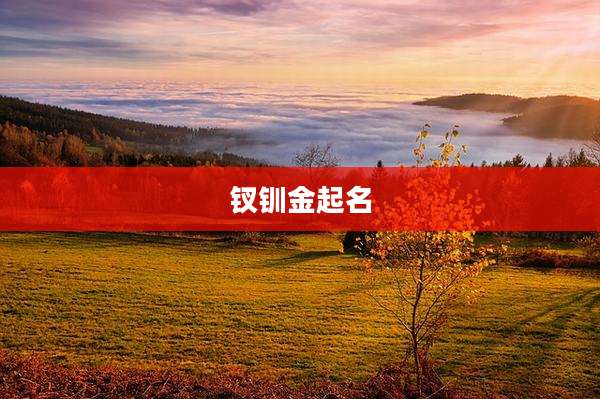 钗钏金起名