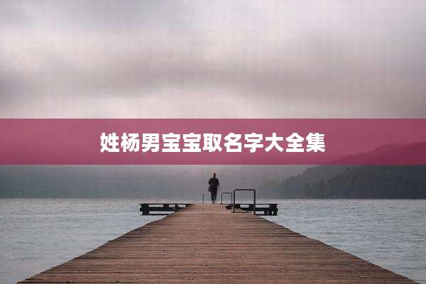 姓杨男宝宝取名字大全集