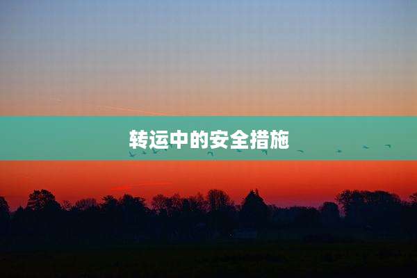 转运中的安全措施