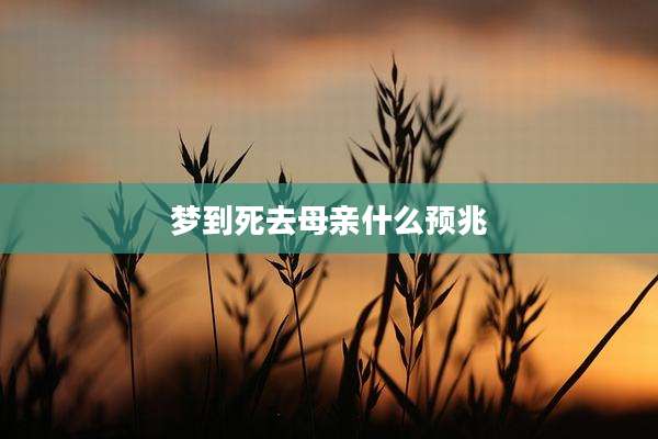 梦到死去母亲什么预兆