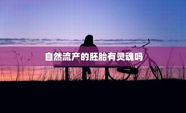 自然流产的胚胎有灵魂吗