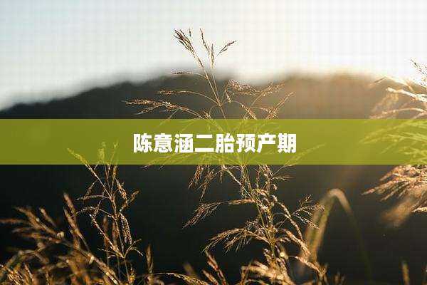 陈意涵二胎预产期