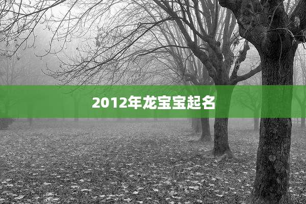 2012年龙宝宝起名