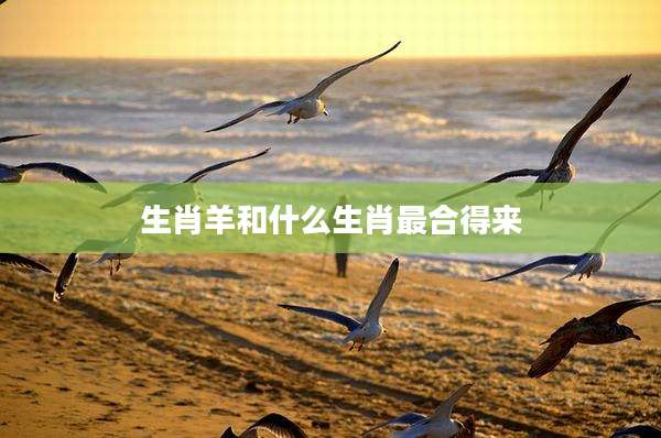 生肖羊和什么生肖最合得来