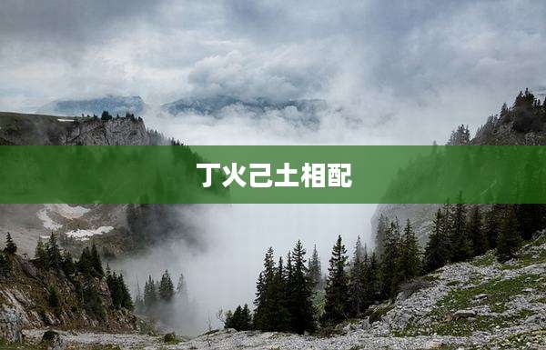 丁火己土相配