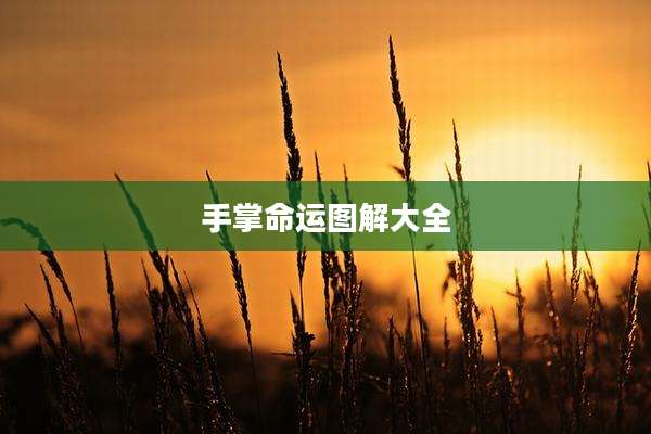手掌命运图解大全