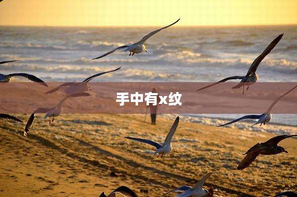 手中有x纹