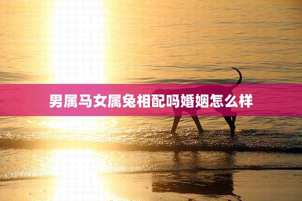 男属马女属兔相配吗婚姻怎么样