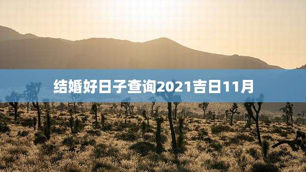 结婚好日子查询2021吉日11月