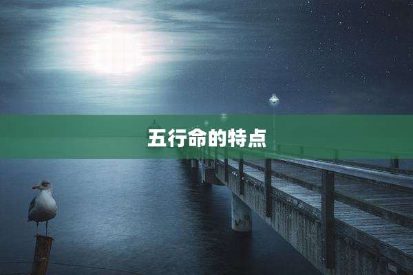 五行命的特点