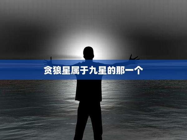贪狼星属于九星的那一个