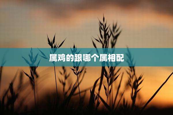 属鸡的跟哪个属相配