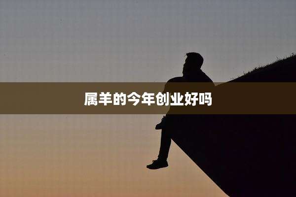 属羊的今年创业好吗