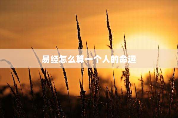 易经怎么算一个人的命运